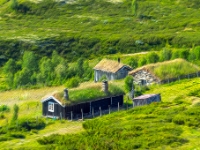 Grimsdalen